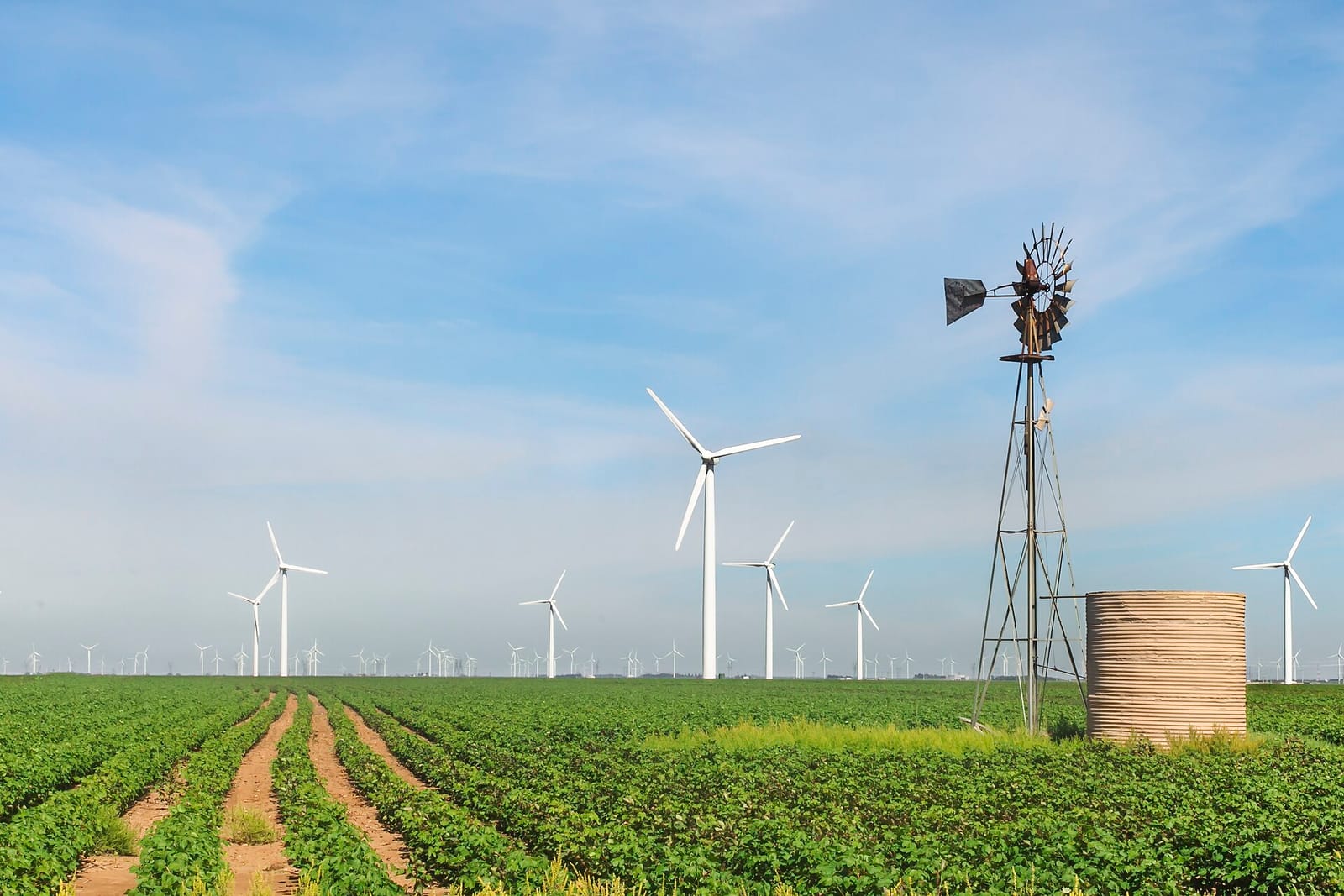 Wind turbines and an old windmill above crop fields at the Roscoe Wind Farm in Texas