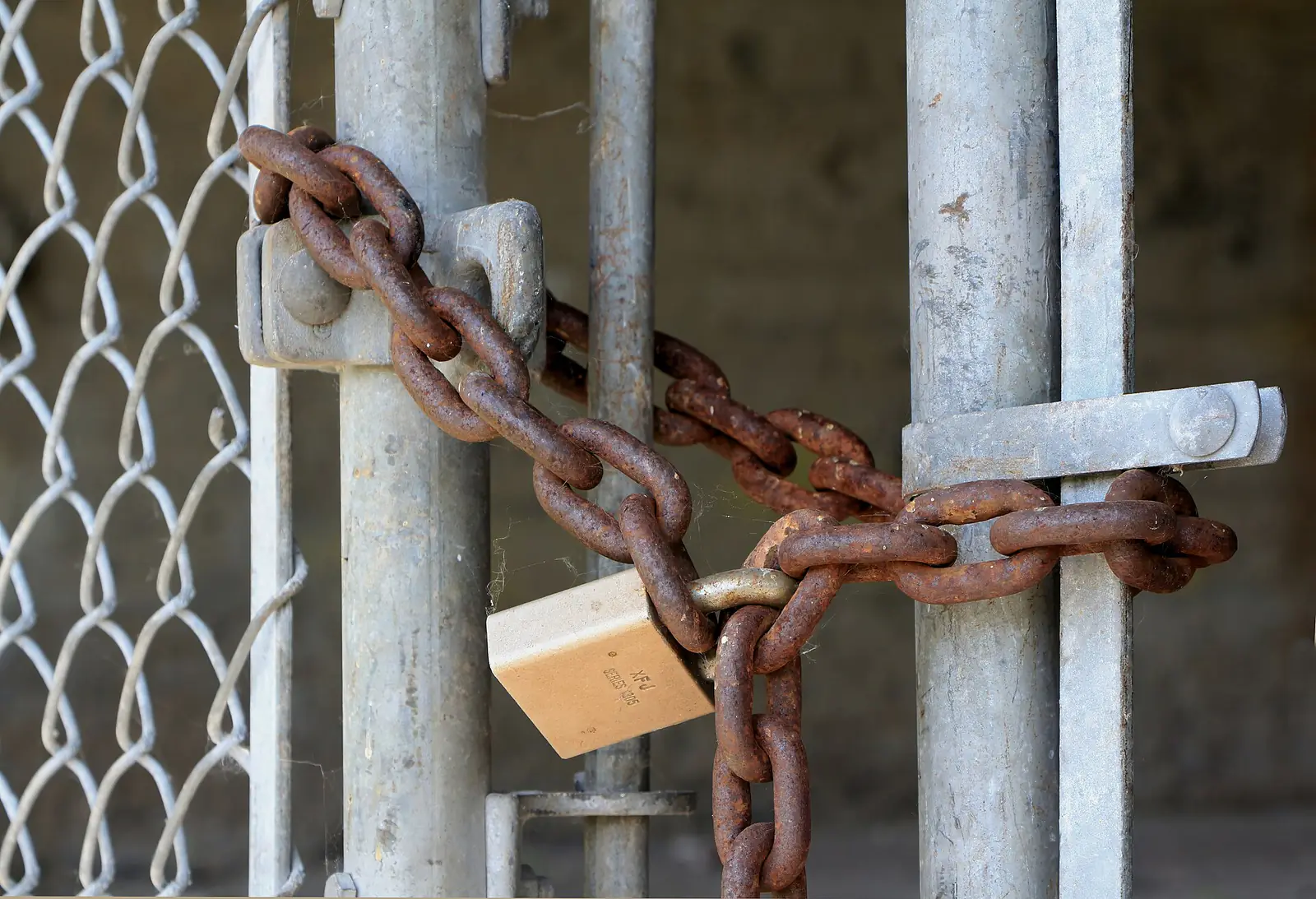 A brass padlock holding a rusty chain across a metal gate