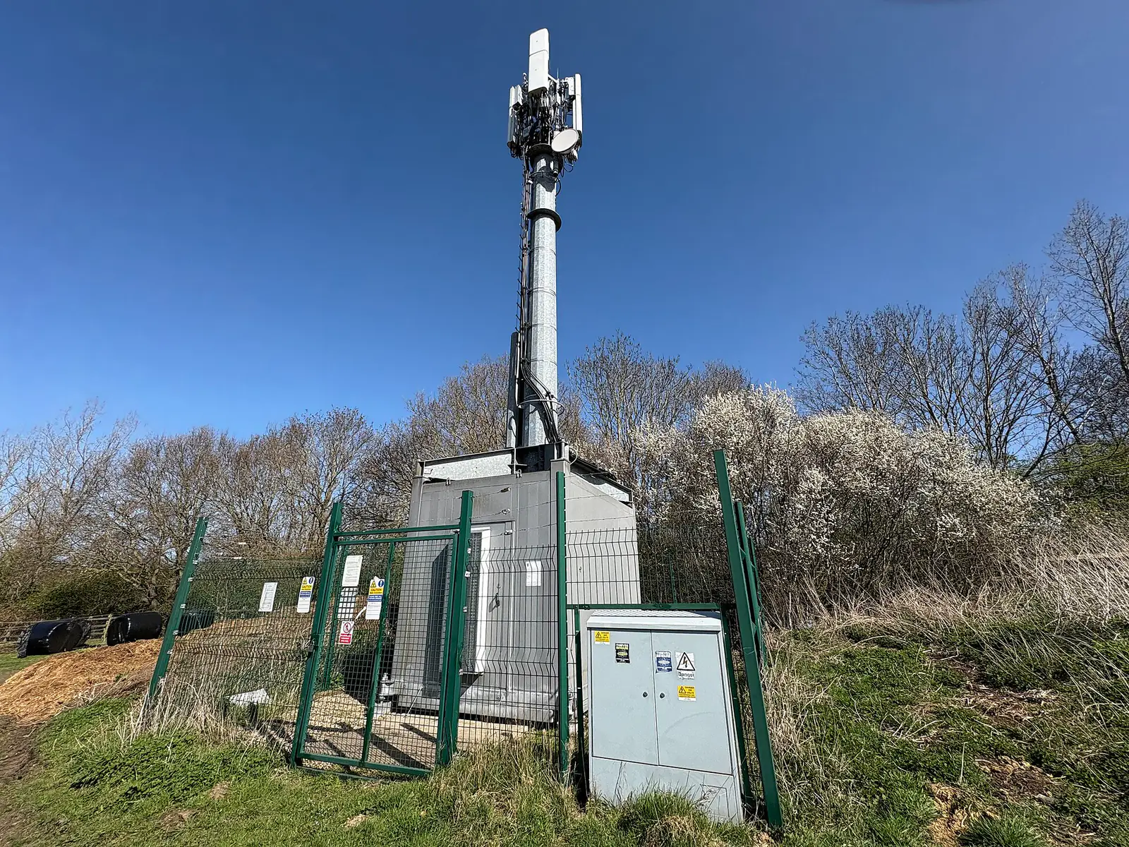 A mobile phone mast carrying cellular antennas