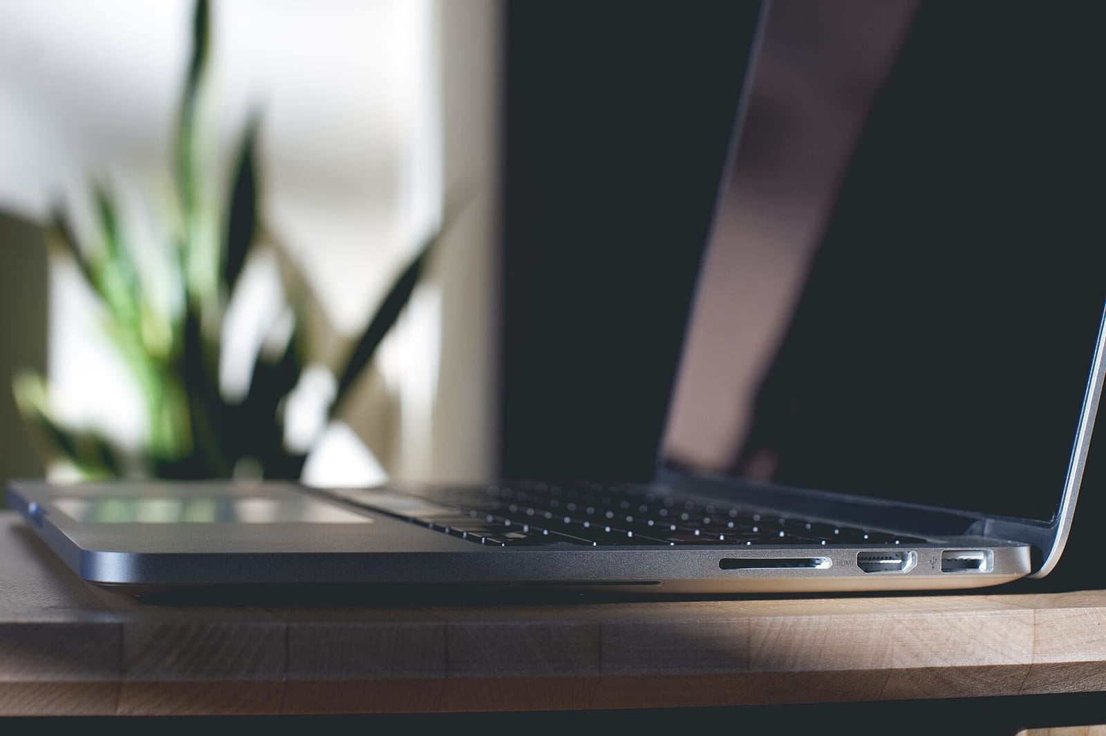 An open laptop on a desk next to a plant