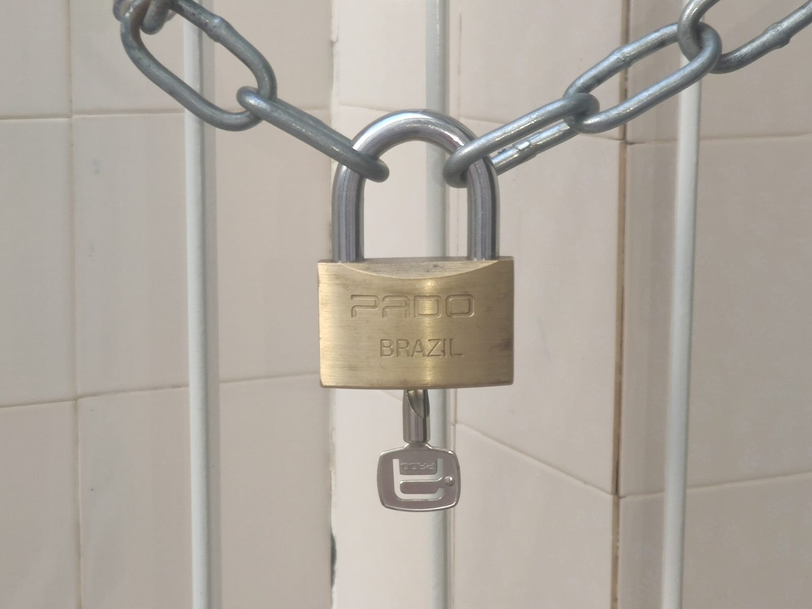 Brass padlock securing a heavy chain on a gate
