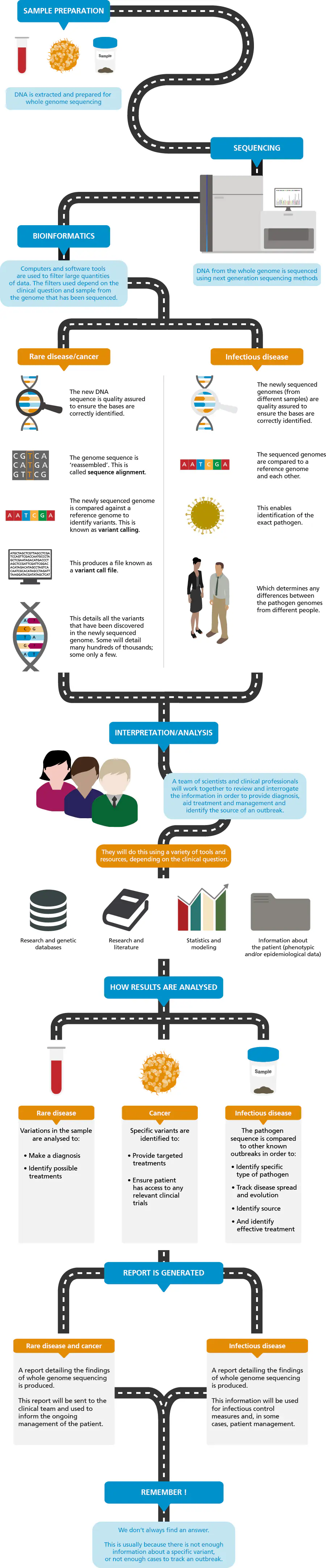 Infographic of a whole genome sequencing pipeline, from sample preparation and sequencing to variant calling and interpretation