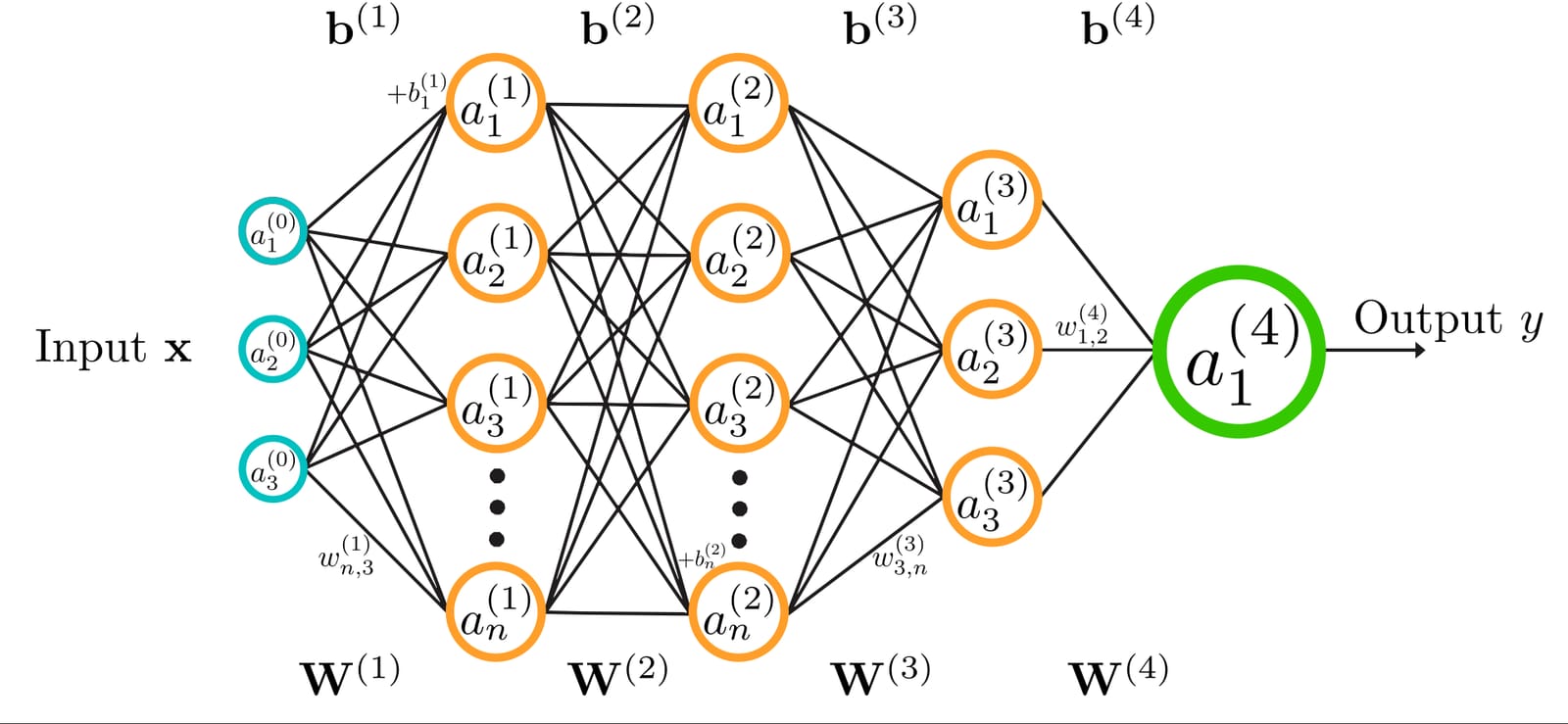 Diagram of a feed-forward neural network with input, hidden layers of neurons and an output, labelled with weights and biases